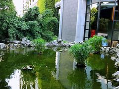 -丁山花园酒店-明园餐厅