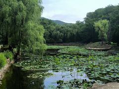 -棒棰岛宾馆景区