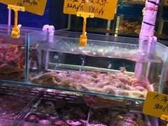 景观位-日进一片海.生腌海鲜火锅.宵夜烧烤(三里屯总店)