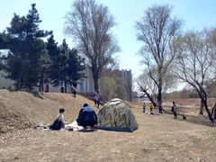 -蒲河岛湿地公园