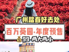-百万葵园