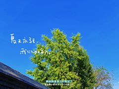 -火火咖啡&茶空间