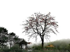 -广州莲花山旅游区
