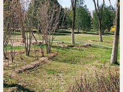 -大兴滨河森林公园