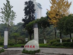 -大渡口区义渡公园