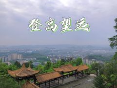 -铁山坪森林公园