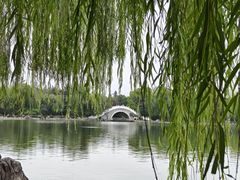 -洛阳市隋唐城遗址植物园
