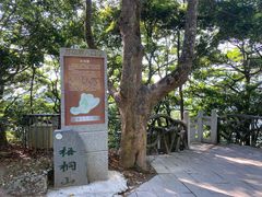 -梧桐山风景名胜区