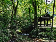 -石门洞景区