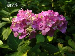 -陶然亭公园