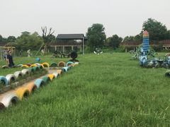 -中国扬子鳄村