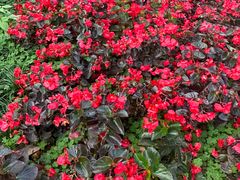 -惠州西湖风景名胜区-丰渚园