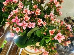 -双季花艺园艺市场(浦东店)