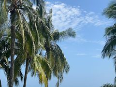 -三亚湾海居雅高铂尔曼度假酒店