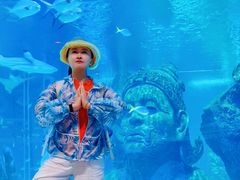 -暹罗海洋世界