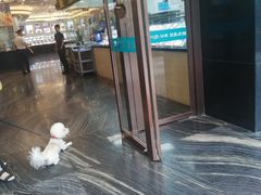 -高老庄新家宴(北斗星广场店)