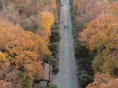 -灵谷景区