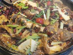 -老板恋上鱼(恒隆广场店)