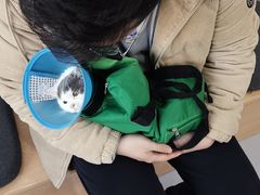 -嘉美宠物医院