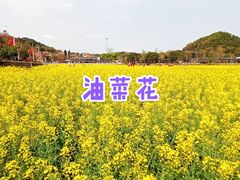-红山村