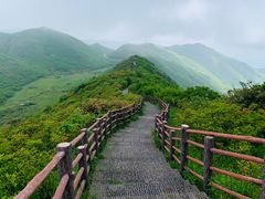 -大围山国家森林公园