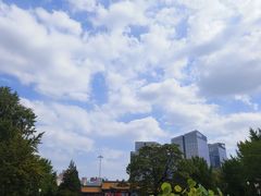 -莲花池公园