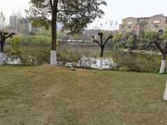 -成都南湖公园