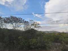 -仙湖旅游度假区
