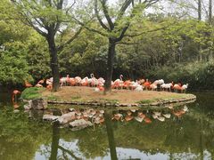 -上海野生动物园