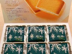 -关西国际机场直营免税店