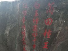 -海上田园