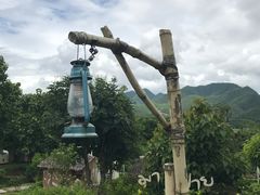 -大树秋千
