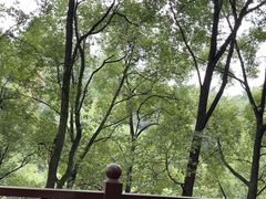 -巴倒烫陆派火锅山庄(南山总店)