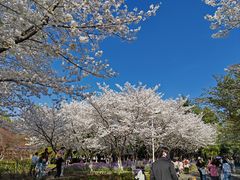 -白塘生态植物园
