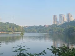 -重庆彩云湖湿地公园