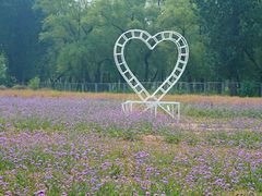 -北京东方普罗旺斯薰衣草庄园