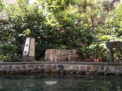 -杭州第一世界大酒店·云曼温泉