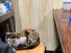 -夜烤·宜宾烧烤(洋河路店)