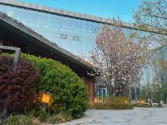 -中家鑫园温泉酒店鑫悦汤泉