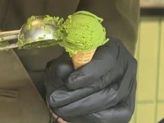 -鹤茶野所(上海首店)