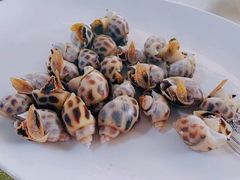 -海之鲜大排档(东山海鲜金銮湾店)
