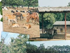 -西安秦岭野生动物园