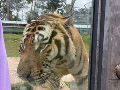 -西霞口神雕山野生动物世界