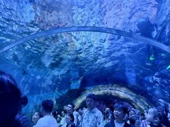 -华夏文旅西安度假区