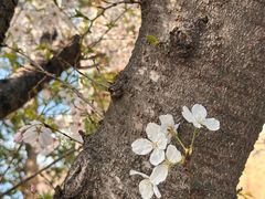 -浙江大学(玉泉校区)