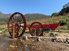-广州市石门国家森林公园