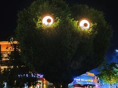 -特克斯八卦城