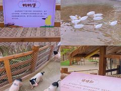 -珠海海泉湾神秘岛亲子乐园