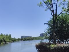 -成都南湖公园