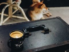 piccolo-Tequila Espresso(嘉善路店)